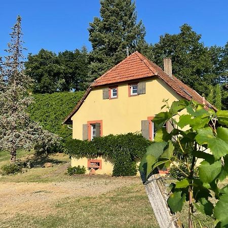 Villa Rebhaus Durbach Exterior foto